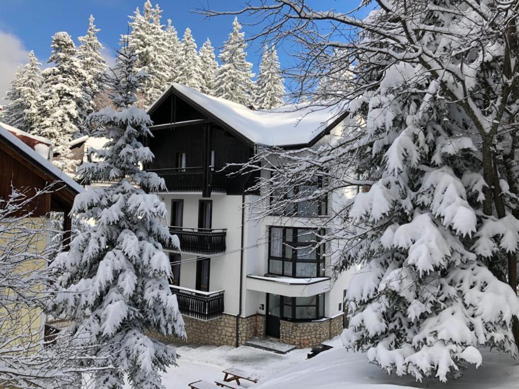 Montana Residence Poiana Brașov Zewnętrze zdjęcie