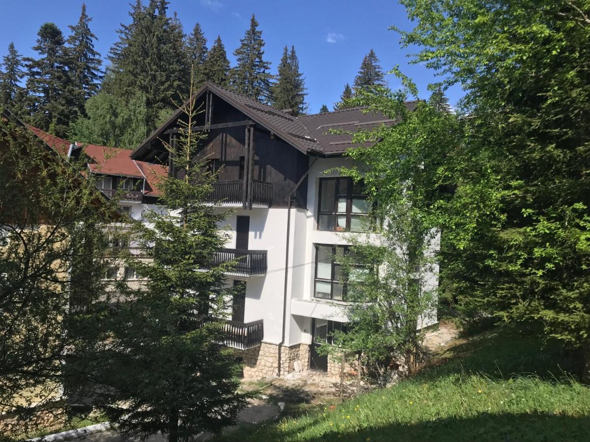 Montana Residence Poiana Brașov Zewnętrze zdjęcie